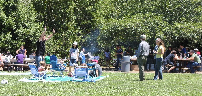 Everyone is having a great time at the 2013 ICSI picnic