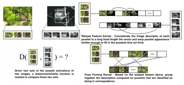 posepooling image for ICSI blog